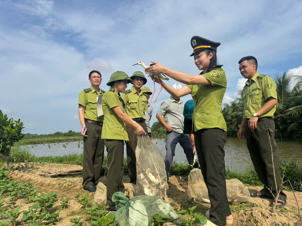 CHUNG TAY BẢO VỆ CHIM HOANG DÃ, CHIM DI CƯ - TRÁCH NHIỆM CỦA TOÀN XÃ HỘI -